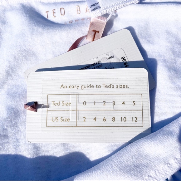 TED BAKER LONDON Stripe Ruffle Blue Bikini Bottom - Picture 8 of 8